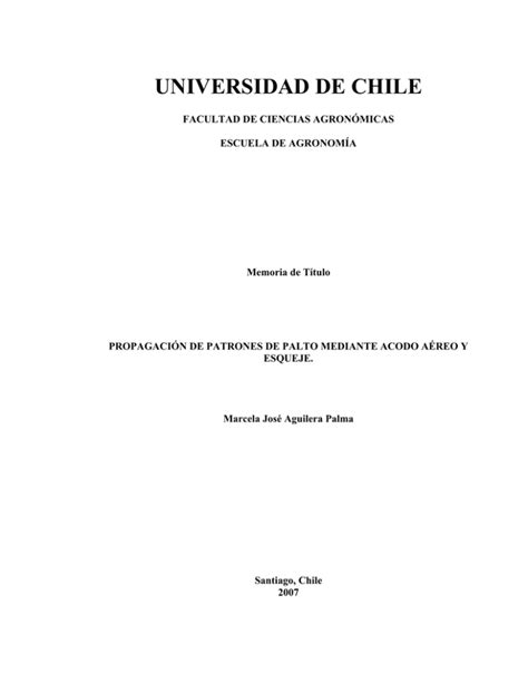 repositorio universidad de santiago de chile